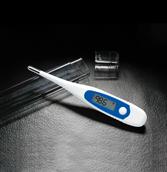 ADTEMP IV Digital Th